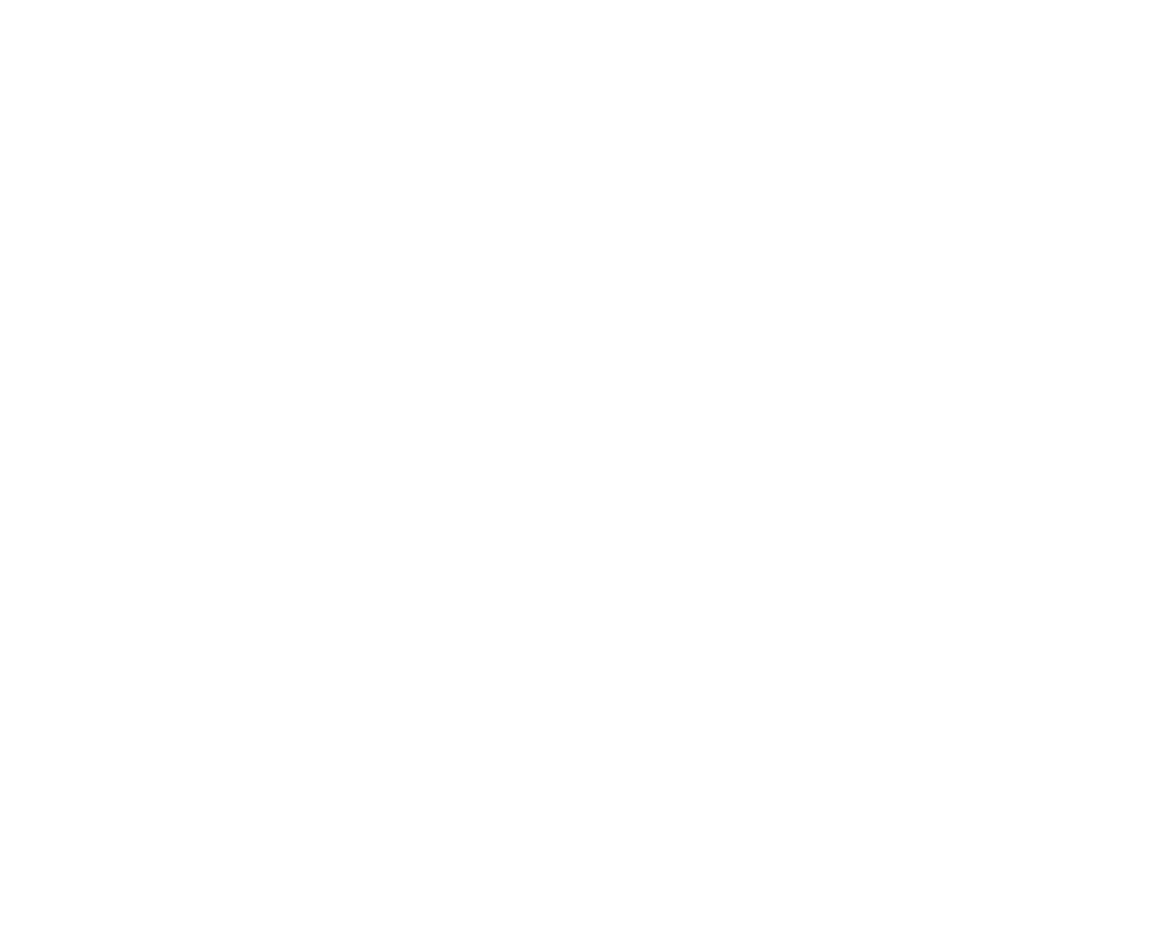 authorize-net-logo-white